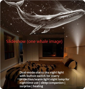 Galaxy Projector & Night Light